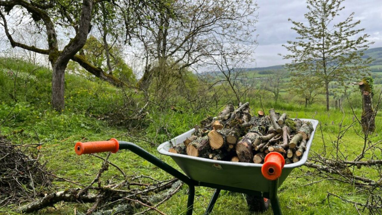 Case study – branża ogrodnicza, sklep ogrodniczy Case study – gardening industry, garden store